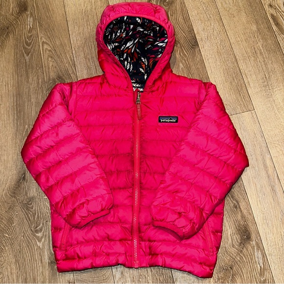 Patagonia Other - Toddler Winter Puffer Jacket - Reversible